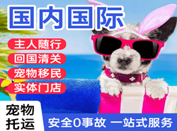 西双版纳嘎洒航空邮寄国际宠物托运 【国